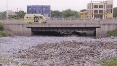 Rác thải nhựa làm tắc nghẽn đập thủy điện tại CHDC Congo