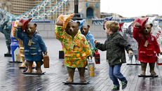 Gấu Paddington - Từ biểu tượng của nước Anh đến ngôi sao toàn cầu