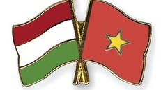 Việt Nam sẵn sàng tham gia tích cực và phối hợp với Đoàn Ngoại giao tại Hungary