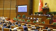 Nhiệm vụ, quyền hạn và cơ cấu tổ chức của Hội đồng Dân tộc, các Ủy ban của Quốc hội