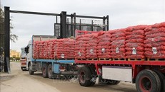 Israel dừng hoạt động đưa hàng viện trợ vào Dải Gaza