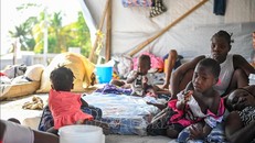 UNICEF cảnh báo tác động của bạo lực băng nhóm đối với trẻ em Haiti