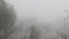 Thời tiết ngày 9/3: Bắc Bộ sáng có mưa phùn và sương mù rải rác