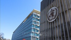 WHO “thắt lưng buộc bụng” để ứng phó với việc thiếu nguồn tài trợ của Mỹ