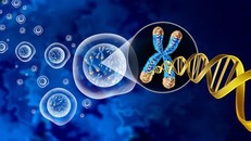 Phát hiện mới mở ra hy vọng ngăn ngừa ung thư