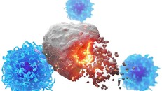 Nghiên cứu thành công vaccine "đa năng" chống nhiều loại ung thư