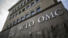 Việt Nam cập nhật về quy tắc xuất xứ tại WTO