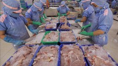 Việt Nam lọt Top 4 đối tác lớn nhất xuất khẩu thủy sản vào Singapore