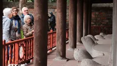 Du khách quốc tế tham quan khu nhà bia lưu danh các tiến sỹ tại Văn Miếu-Quốc Tử Giám. Ảnh: Hoàng Hiếu/TTXVN.