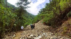 Đề phòng lũ quét, sạt lở đất ở 8 tỉnh vùng núi Bắc Bộ