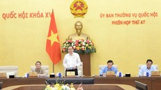Hoàn thiện thể chế, chính sách phát triển và sử dụng nguồn nhân lực