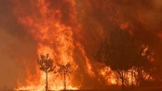 Lời cảnh báo nguy cơ cháy rừng ngày càng tăng đối với châu Âu