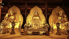 Con đường hạnh phúc chân thật