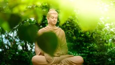 Bốn mươi tám lời nguyện xuyên suốt sanh tử