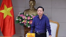 Chuẩn bị phương án toàn diện, đồng bộ để ứng phó “bão chồng bão”