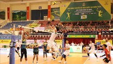 Khởi tranh giai đoạn 2 Giải bóng chuyền vô địch quốc gia 2025