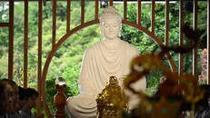 Từ bi và trí tuệ