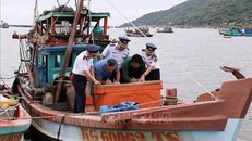 Thủ tướng yêu cầu tập trung thực hiện tháng cao điểm chống khai thác hải sản bất hợp pháp