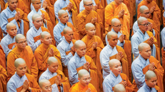 Đức Pháp chủ nói về vai trò của Ni giới Việt Nam trong xã hội hiện nay