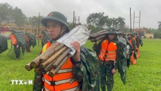 Chính phủ yêu cầu bố trí lực lượng sẵn sàng ứng phó với bão số 13