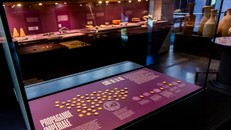 Thụy Sĩ truy tìm thủ phạm vụ trộm tiền vàng cổ tại bảo tàng