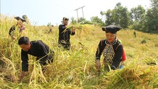 Những chính sách mới nổi bật có hiệu lực từ tháng 12/2025