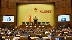 Bầu cử Quốc hội và HĐND: Bảo đảm thực hiện tốt quyền, trách nhiệm của MTTQ