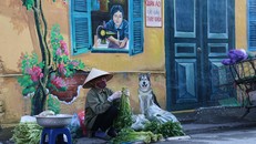 Những hy vọng trong chiều cuối năm