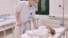 Báo động tình trạng chó dữ tấn công người già, trẻ nhỏ