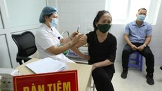 Có nên uống 'thuốc lạ' trước tiêm vaccine COVID-19 để chống sốc?