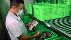 Kho máu dự trữ đang cạn kiệt