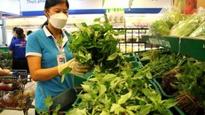 Cảnh báo lừa chuyển tiền để đăng ký 'đi chợ hộ'