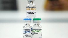 Vắc xin Nanocovax được Hội đồng đạo đức thông qua, đang chờ cấp phép khẩn cấp