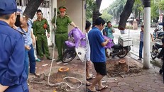 Hiện trường vụ việc. 