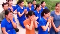 Kỷ luật 5 cán bộ liên quan vụ giáo viên quỳ gối ở Nghệ An