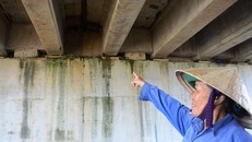 Mưa làm cao tốc 34.000 tỷ dột, lộ cả bẹ chuối dưới gầm cầu