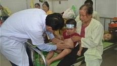 Khuẩn salmonella gây ngộ độc hơn 220 bé mẫu giáo Hà Nội