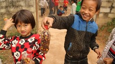 Những đứa trẻ đi học vui hơn ở nhà