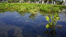 Mất nửa tháng để khắc phục sự cố tràn 4.000 lít dầu ở Thanh Hóa