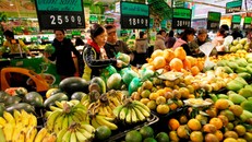 TPP-11 chính thức có hiệu lực từ hôm nay