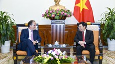 Phó Thủ tướng, Bộ trưởng Bộ Ngoại giao Phạm Bình Minh tiếp Quốc vụ khanh Bộ Ngoại giao Liên hiệp Vương quốc Anh và Bắc Ireland Mark Field. Ảnh: VGP/Hải Minh