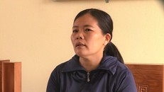 Khởi tố cô giáo bắt học trò tát bạn 230 cái