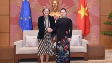 Chủ tịch Quốc hội tiếp Phó Chủ tịch Nghị viện Châu Âu