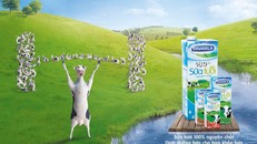 Công bố kết quả kinh doanh Quý 4/2018 của Vinamilk