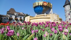 Xuân ngất ngây ở 'xứ hoa nở trong mây'