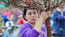 Quất, đào 'đại hạ giá' tràn ngập phố Hà Nội ngày 30 Tết