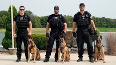 Những chú chó nghiệp vụ của Mật vụ Mỹ (Ảnh: Life News)