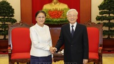 Tổng Bí thư, Chủ tịch nước Nguyễn Phú Trọng tiếp Chủ tịch Quốc hội Lào Pany Yathotou. Ảnh: TTXVN