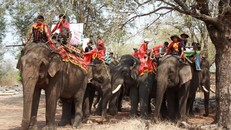 Độc đáo lễ cúng sức khỏe cho voi của người M'Nông