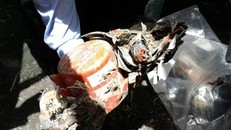 Một trong hai hộp đen của chuyến bay ET302 được tìm thấy tại hiện trường. Ảnh: CGTN.